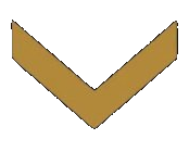Vantage Mark